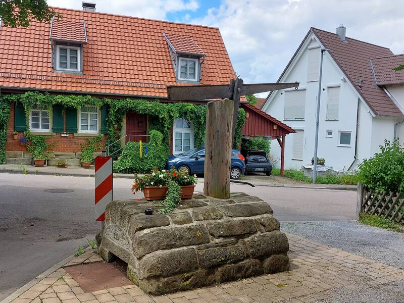 Brunnenplatz in Münster mit Blumen im Vordergrund und Wohnhäuser im Hintergrund.